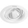 Philips Pomeron Loftlampe