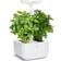 Veritable Exky Classic Garden Minidrivhus