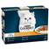 Gourmet Perle Chefs Collection Mixed Cat Food 12x85g