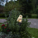 Star Trading Owl Markbelysning 33cm