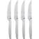 Gense Norm 26917 Set di Coltelli