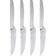Gense Norm 26917 Set di Coltelli