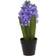 Winteria Hyacinth Konstgjord växt