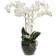 Mr Plant Phalaenopsis Konstgjord växt