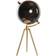 Dkd Home Decor Standard Globo terráqueo