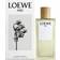 Loewe Aire EdC 1 fl oz