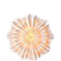 Jotex Omega Julstjärna ∅ 60cm