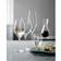 Holmegaard Cabernet White Wine Glass 28cl 6pcs