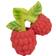 Oli & Carol Valery The Raspberry Teether