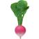 Oli & Carol Ramona The Radish Teether