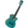 Tanglewood TWT 24 E