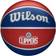 Wilson LA Clippers Team Tribute Basketball