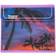 Mead Trapper Keeper Palm Trees Binder