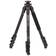 Benro Adventure Tripod + HD1A