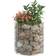 vidaXL Circular Gabion Raised Bed 152015 50x50x50cm