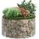 vidaXL Circular Gabion Raised Bed 152017 Højbed