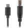 Lanberg USB C-USB B 2.0 0.3m