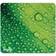 Allsop Nature Smart Mouse Pad Leaf Raindrop