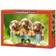 Castorland Cute Dachshunds 500 Pieces