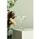 aida Café Champagne Glass 23.5cl