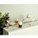 aida Café Champagne Glass 23.5cl