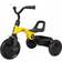 Q Play Ant Basic Trike