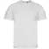 Ecologie Men's Organic Cascades T-shirt