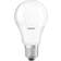 Osram Star Classic LED Lamps 5.5W E27