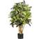 Nearly Natural Croton Artificial Plant