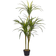 Beliani Dracaena Anita Artificial Plant