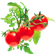 Click and Grow Smart Garden Mini Tomato Refill 3-pack Plantenæring