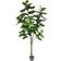 Vickerman Fig Figurine 213.4cm