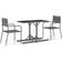 vidaXL 3072480 Juego de comedor de patio, 1 Mesa incl. 2 Sillas