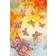 Conceptum Hypnose Pammie Carpet 31.5x47.2"