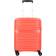 American Tourister Sunside Spinner 55cm