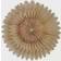 Watt & Veke Lotus Beige Advent Star ∅ 44cm
