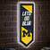 Evergreen University of Michigan Pennant Wall Decor 9x23"