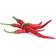 Veritable Cayenne Hot Chili Lingot