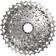 Sram XG 1250 12-Speed 10-36T