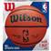 Wilson NBA Authentic