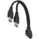 DeLock USB A-USB A 3.2 GEN Adapter 0.2m