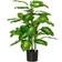 Homcom Evergreen Green Artificial Plant