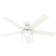 Hunter Zeal 52" Ceiling Fan