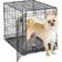 Midwest iCrate Single Door Dog Crate 24-inch