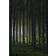 Venture Home Woods Poster 70x100cm