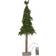 Star Trading Lumber Green Juletre 55cm