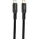 Champion Electronics 100W USB C-USB C 3.2 (Gen.1) 1m