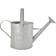 Fallen Fruits Watering Can 3.6L