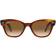 Ray-Ban RB0880S 954/51
