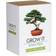 Gift Republic Grow It Bonsai Trees Plantesæt
